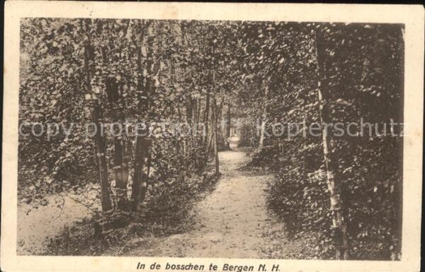 Bergen aan Zee In de bosschen Waldweg