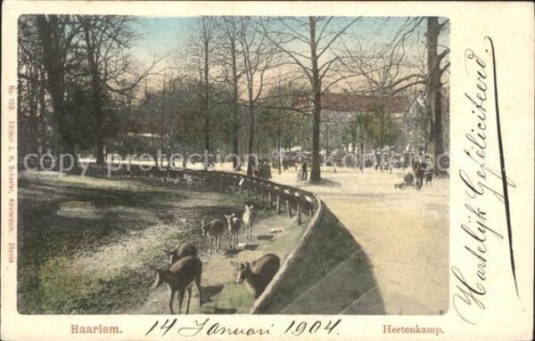 Haarlem Hertenkamp Tierpark