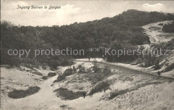 Bergen aan Zee Ingang Duinen Dünen