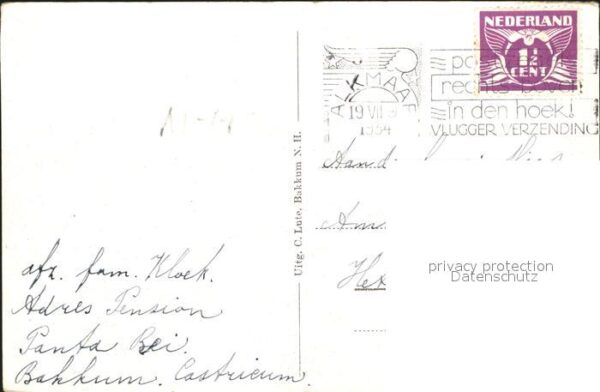Bakkum Zeeweg Baumallee – Bild 2
