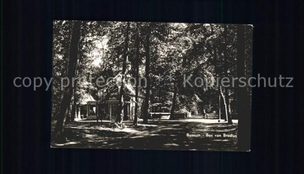 Bussum Bos van Bredius
