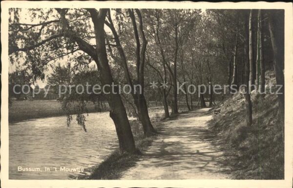 Bussum In t Mouwtje