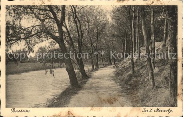 Bussum In t Mouwtje