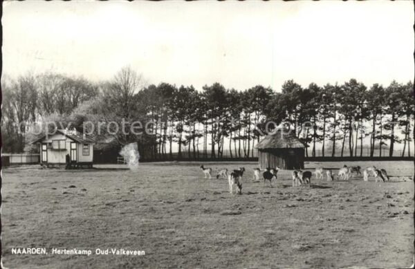 Valkeveen Naarden Hertenkamp Tiergehege