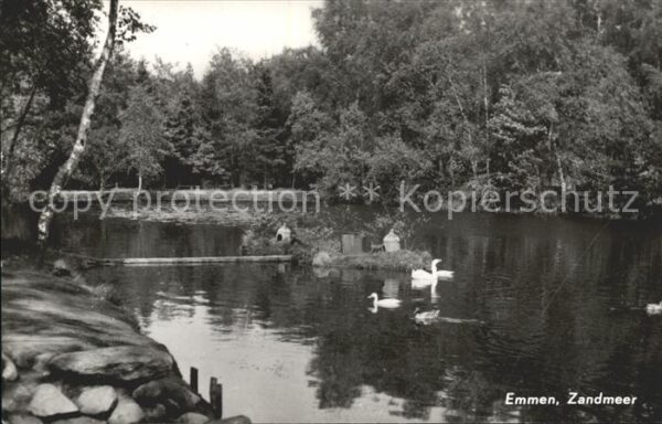 Emmen Netherlands Zandmeer Enten