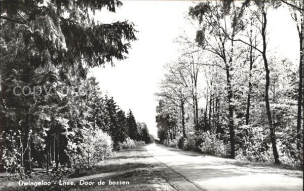 Lhee Door de bossen Waldpartie