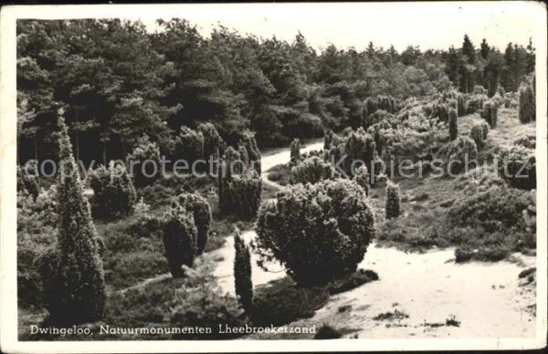 Dwingeloo Natuurmonumenten Lheebroekerzand Landsc