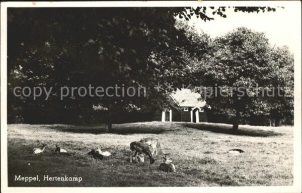 Meppel Hertenkamp Tiergehege