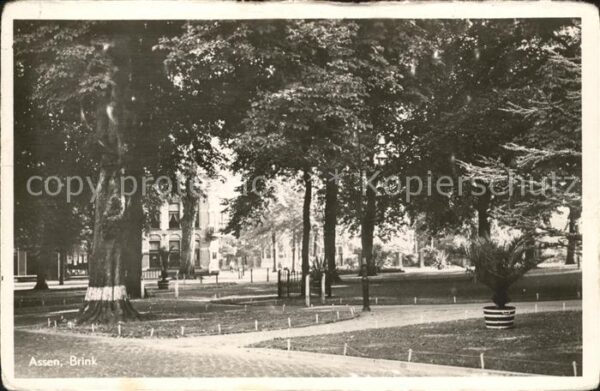 Assen Brink Park