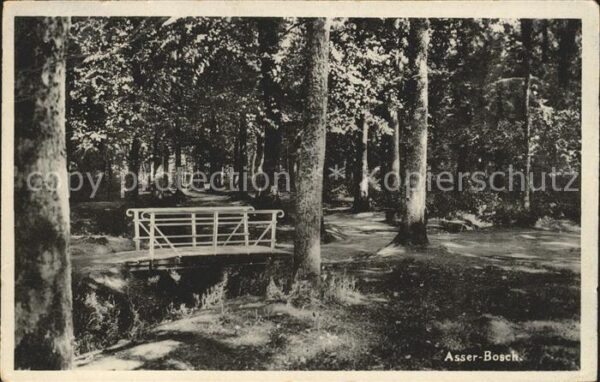 Assen Bosch Waldpartie Holzbrücke