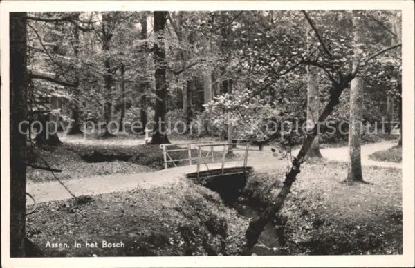 Assen in het Bosch Waldpartie Brücke