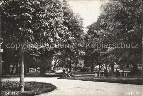 Assen Brink Park
