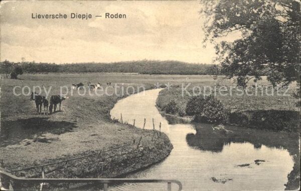 Roden Netherlands Lieversche Diepje Viehweide Bachlauf
