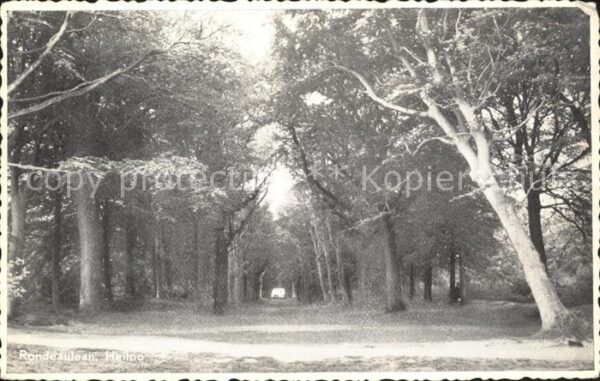 Heiloo Rondeaulaan