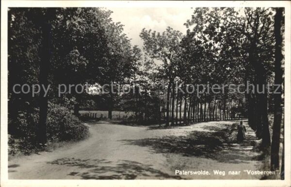 Paterswolde Weg naar Vosbergen