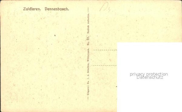 Zuidlaren Dennenbosch – Bild 2