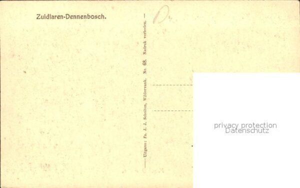 Zuidlaren Dennenbosch Waldpartie – Bild 2