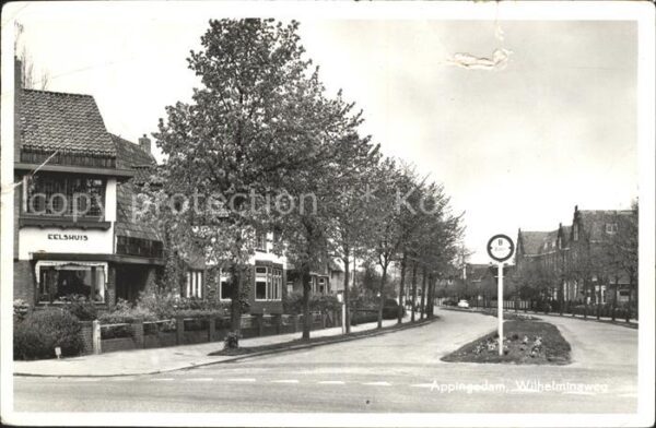 Appingedam Groningen Wilhelminaweg