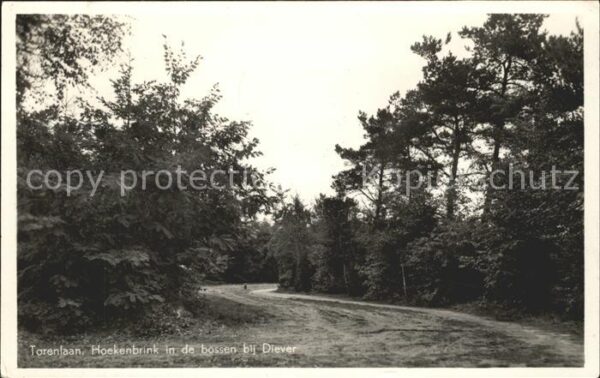 Diever Torenlaan Hoekenbrink in de bossen