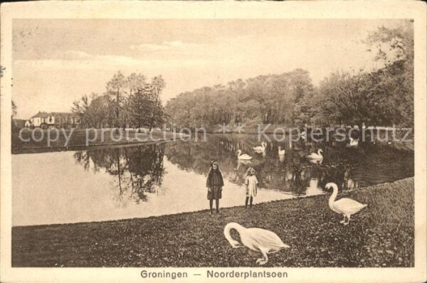 Groningen Noorderplantsoen Schwan
