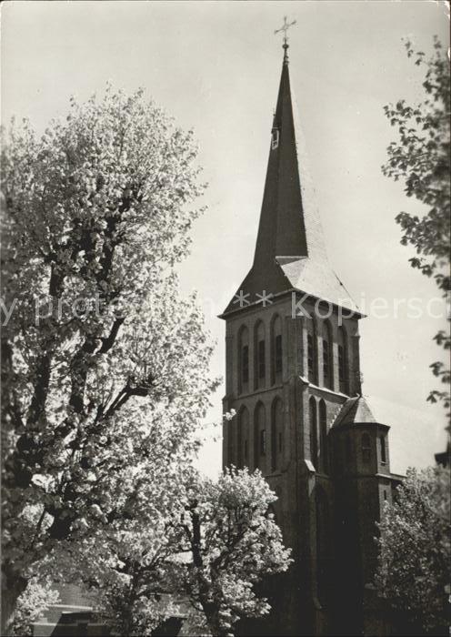 Balk Kerk Kirche Baumblüte