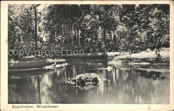 Winschoten Boschvijver Weiher