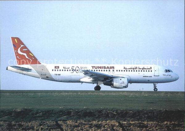 Flugzeuge Zivil Tunis Air 50th Anniversary A320-211 TS-