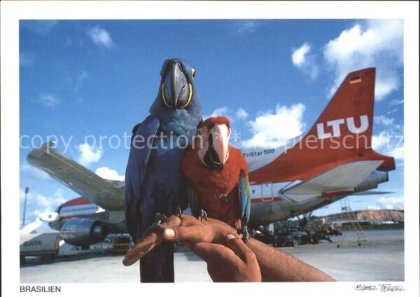 Flugzeuge Zivil LTU TriStar L-1011-500 Arara Papageien