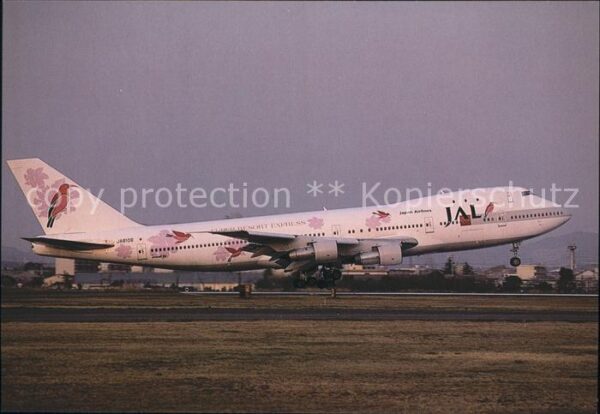 Flugzeuge Zivil JAL Japan Air Lines Super Resort Expres