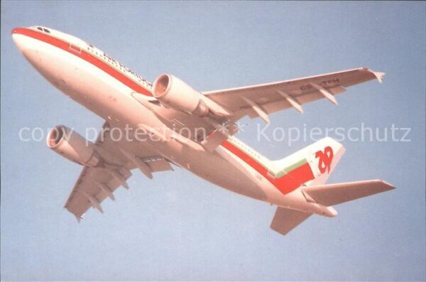 Flugzeuge Zivil TAP Air Portugal Airbus 310-304 CS-TEH