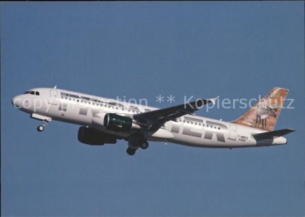 Flugzeuge Zivil Frontier Airlines A320-214 F-WWDQ c/n 3