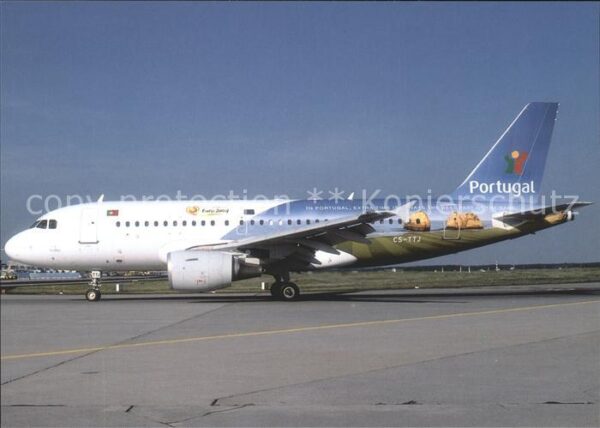 Flugzeuge Zivil Tap Air Portugal Airbus A319 CS-TTJ
