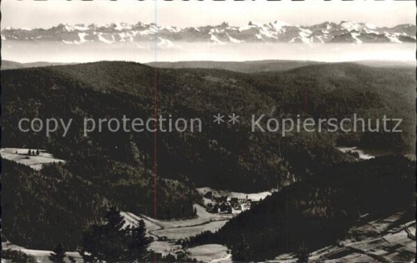 Todtmoos Panorama mit Alpenblick