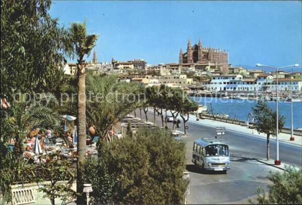 Palma de Mallorca Vista parcial Catedral