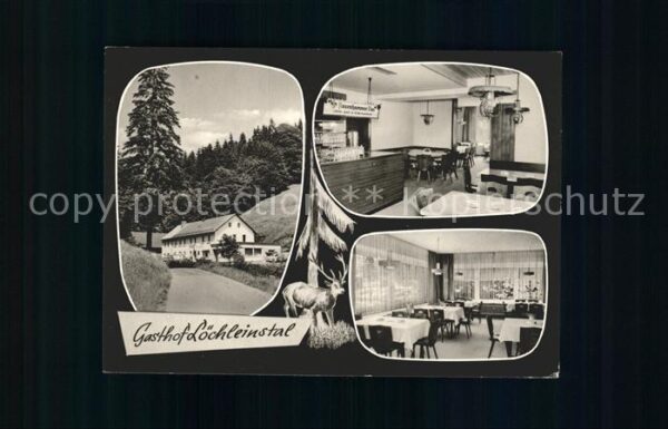 Warmensteinach Gasthof Löchleinstal Hirsch