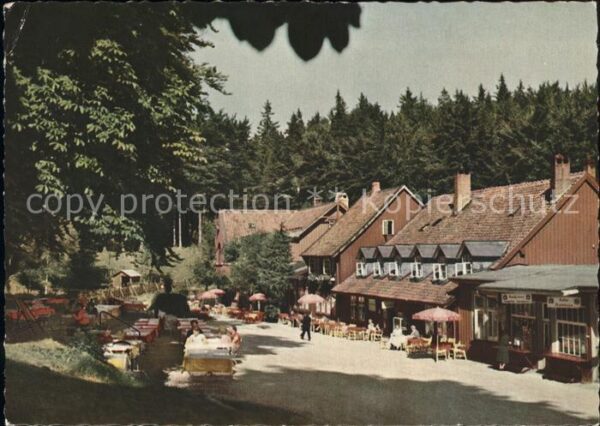 Bad Harzburg Molkenhaus