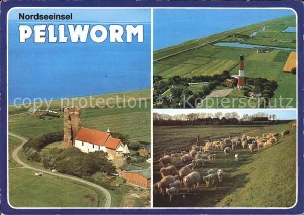 Pellworm Fliegeraufnahme Leuchtturm Schafe Alte