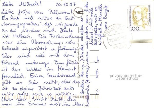 Pellworm Fliegeraufnahme Leuchtturm Schafe Alte – Bild 2