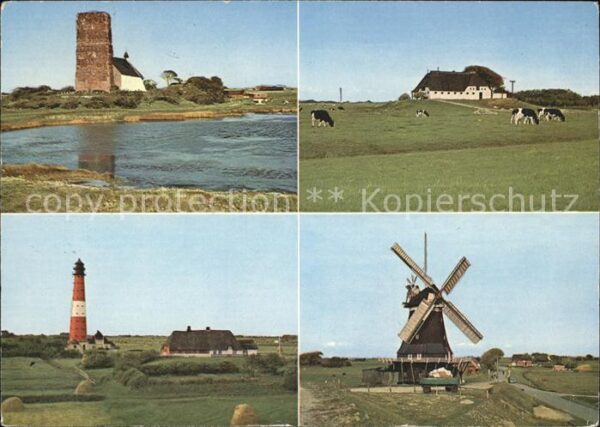 Pellworm Mühle Kühe Alte Kirche Leuchtturm