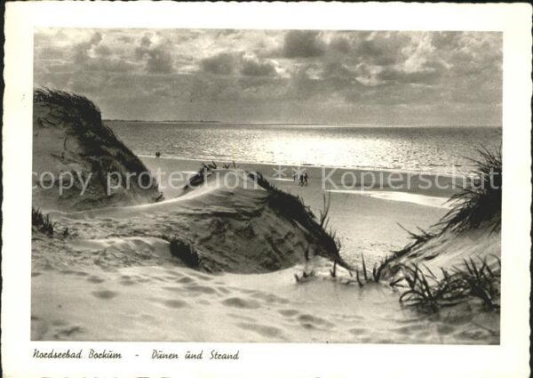 Borkum Dünen Strand