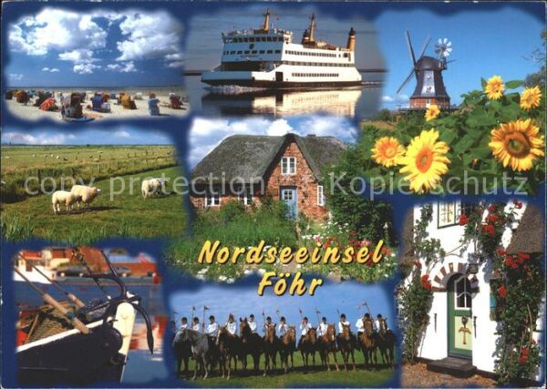 Wyk Foehr Schafe Mühle Fähre Strand Pferde