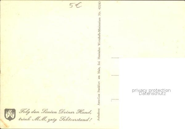 Eltville Rhein Rheingau MM Fliegeraufnahme – Bild 2