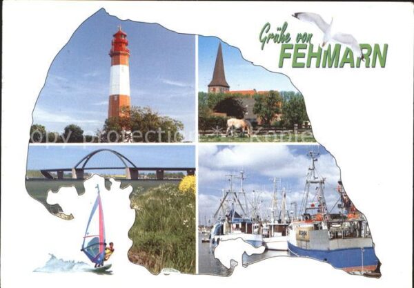 Fehmarn Möwe Turm Kirche Pferd
