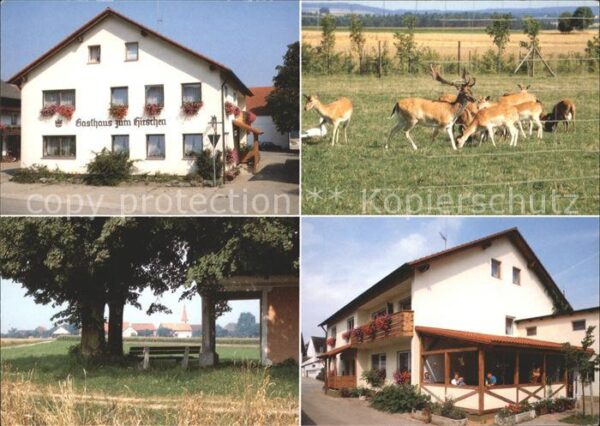 Grossnottersdorf Gasthof zum Hirsch Hirsche Teilansicht
