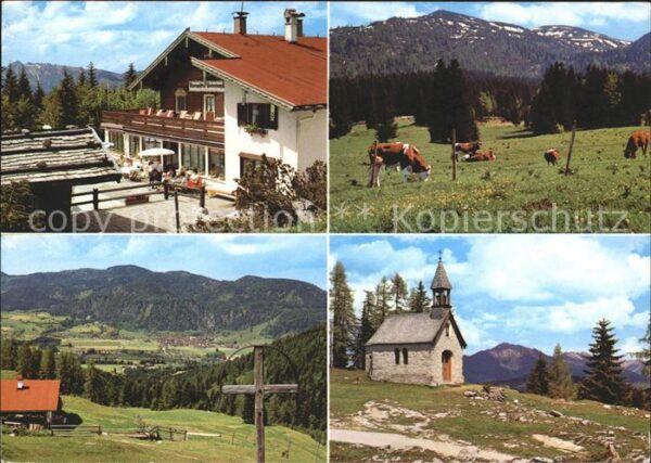 Reit Winkl Alpengasthof Hindenburghütte Viehweide