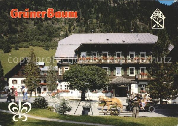 Badgastein Hotel Grüner Baum Pferdekutsche