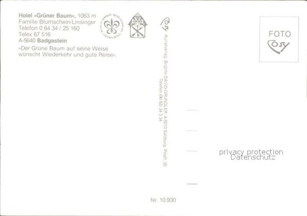 Badgastein Hotel Grüner Baum Pferdekutsche – Bild 2