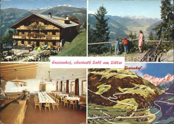 Zell Ziller Tirol Alpengasthof Enzianhof Panorama Gastrau