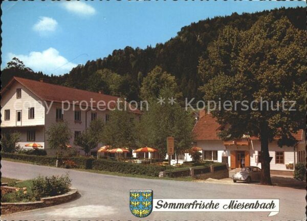 Miesenbach Birkfeld Gasthof zum grünen Baum