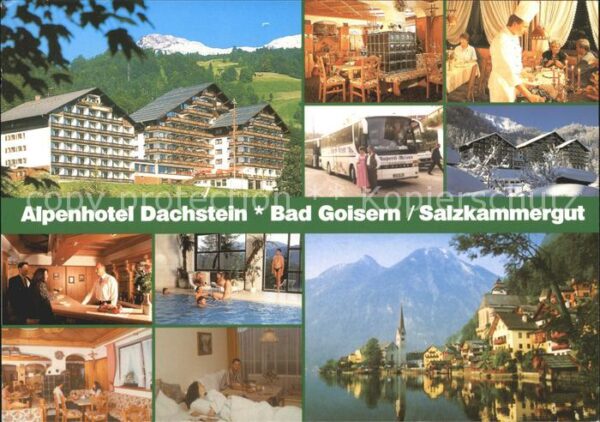 Bad Goisern Salzkammergut Alpenhotel Dachstein Details Panorama S